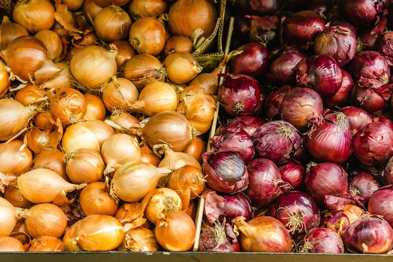 Bins of yellow and red onions, symbolizing the need to peel back the layers of your data to understand distinct market segments.