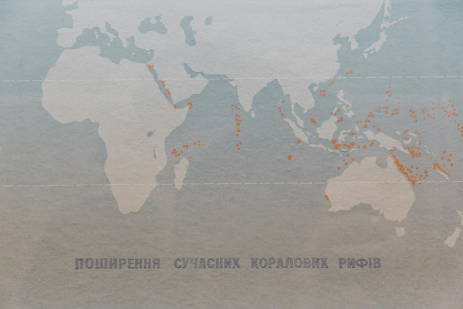 World map with data points, symbolizing global search intent analysis and geo-targeting capabilities of SEO tools.